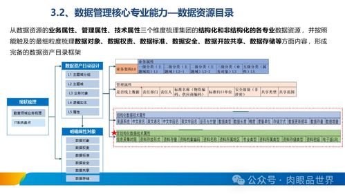 XX集团数据治理体系建设方案与数据处理服务规划